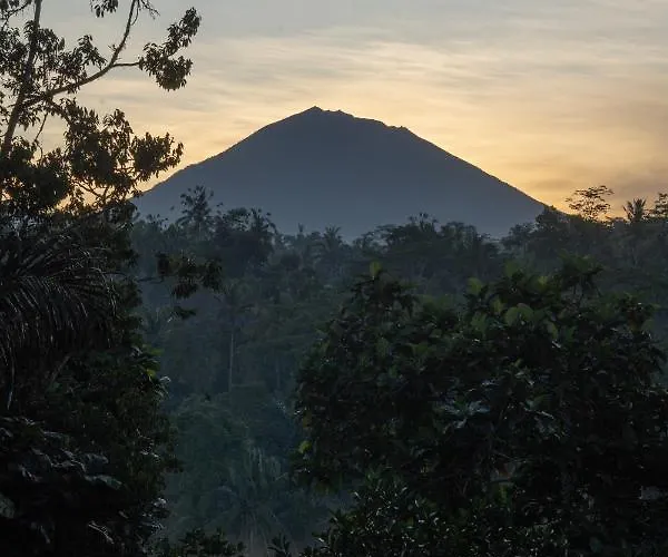Umah Capung Sebatu *