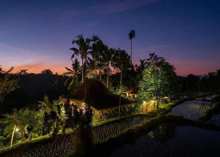 Villa Umah Capung Sebatu *