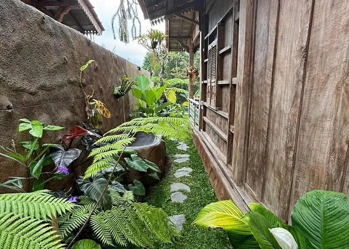 Umah Capung Sebatu